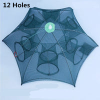12 hole